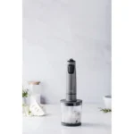 BATIDOR ELECTRICO TITAN PRO 600W + PICAD