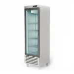 ARMARIO SNK REFRIG 751 CRISTAL