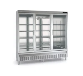 CONSERVADOR EXPOSITOR DE CONGELADOS SMR-250-SLB-V1E2